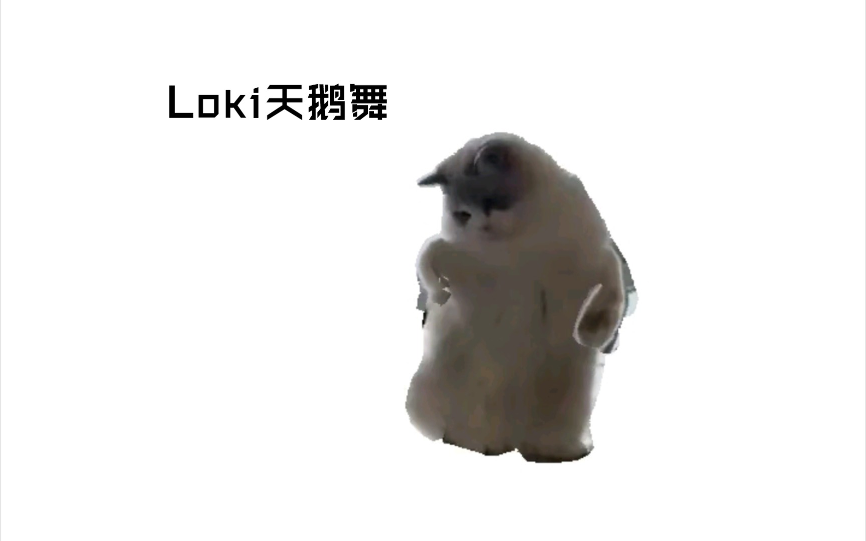 Loki天鹅舞哔哩哔哩bilibili