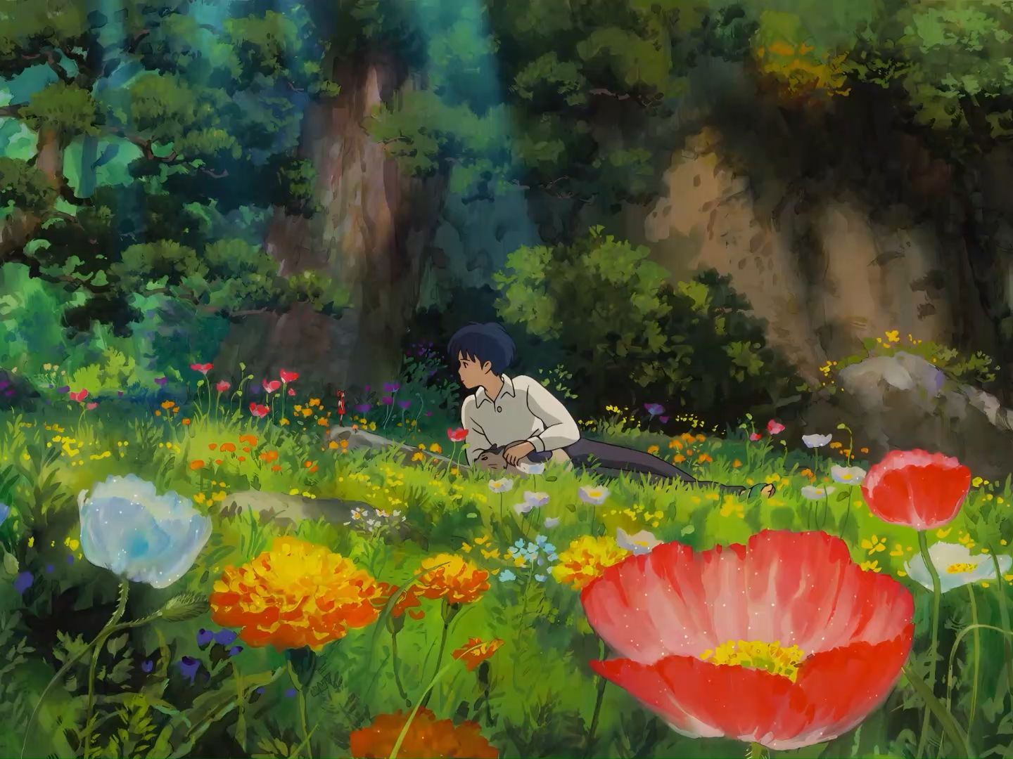 【动漫轻音乐bgm】宫崎骏治愈系音乐解压助眠|冬天还没过去,期待夏天