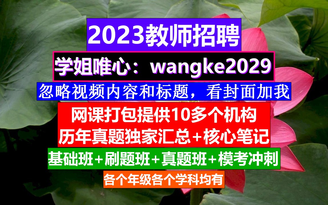 安徽省教师招聘幼儿园学科知识,教师编制报考要求专业,教师编报名条件哔哩哔哩bilibili