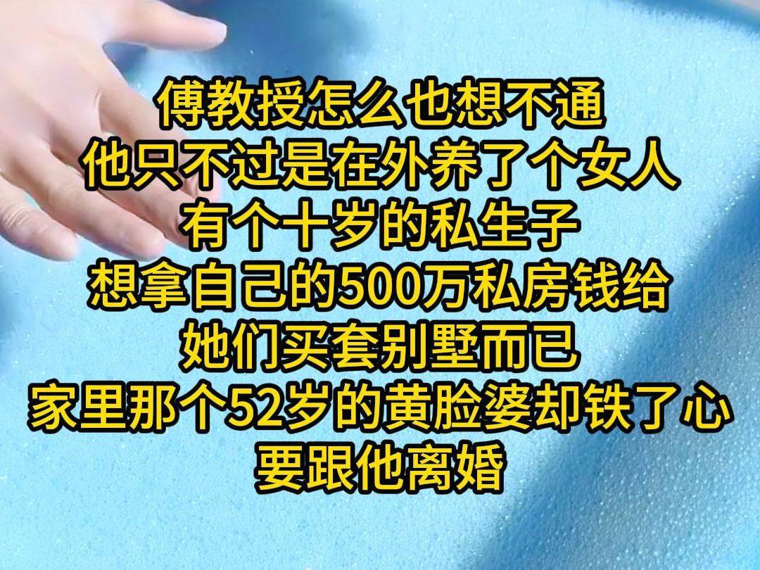 傅教授怎么也想不通,他只不过是在外养了个女人,有个十岁的私生子,想拿自己的500万私房钱给她们买套别墅而已,家里那个52岁的黄脸婆却铁了心要跟...