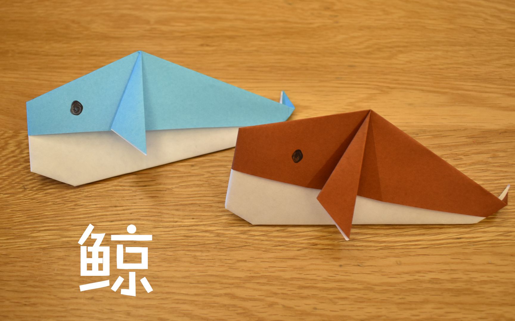 教大家折一条萌萌的鲸鱼,三分钟就能学会