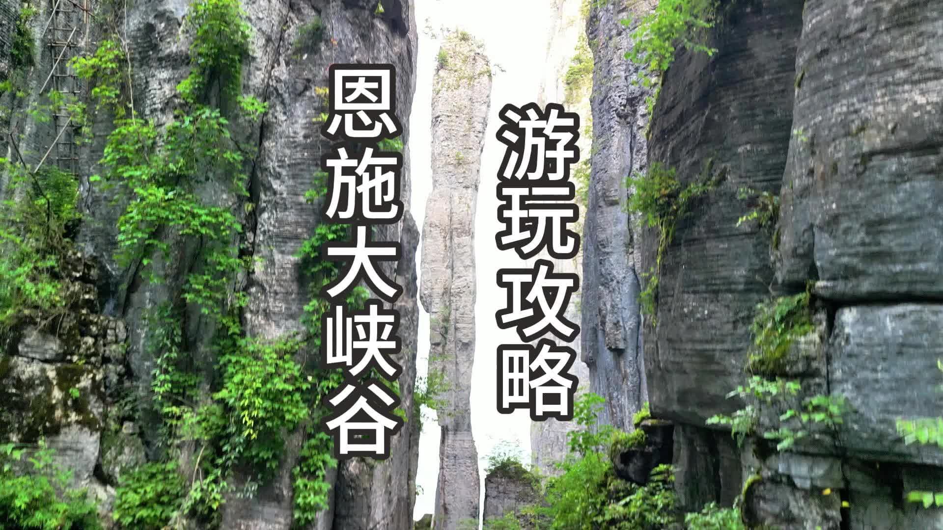 恩施大峡谷旅游年卡用户超详细保姆及游玩攻略来啦哔哩哔哩bilibili