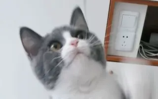 快乐只需一根麻袋丝