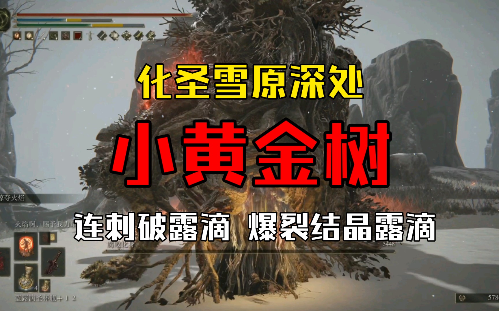 老头环小黄金树06:化圣雪原深处赐福点北方向有个小黄金树,砍了它可