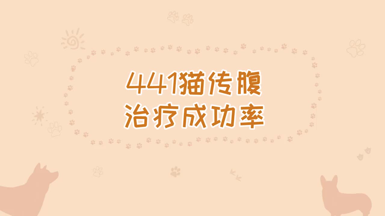 441猫传腹治疗成功率哔哩哔哩bilibili