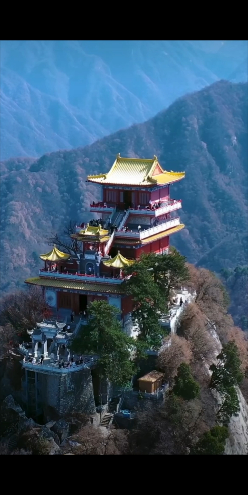 近日,陕西秦岭终南山山脚下南五台千年古玉兰盛开,粉红色的花朵缀满