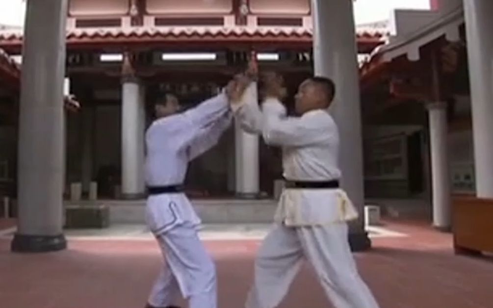 武术项目介绍(10)什么是白鹤拳?哔哩哔哩bilibili