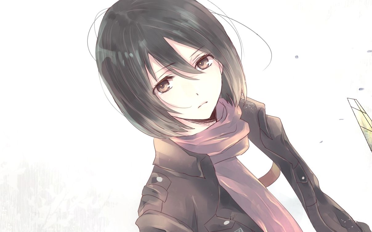 wallpaperenginemikasaackerman