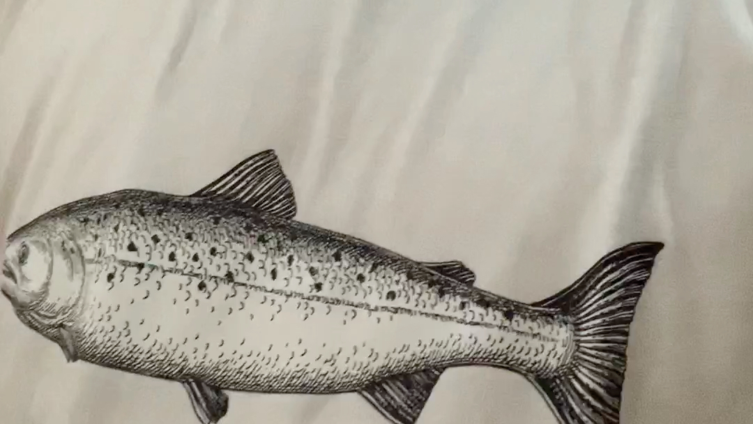 喜提王雷四文鱼t_哔哩哔哩 (゜-゜)つロ 干杯~-bilibili