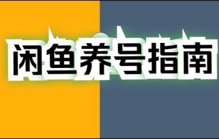 闲鱼养号指南,账号权重做起来!哔哩哔哩bilibili