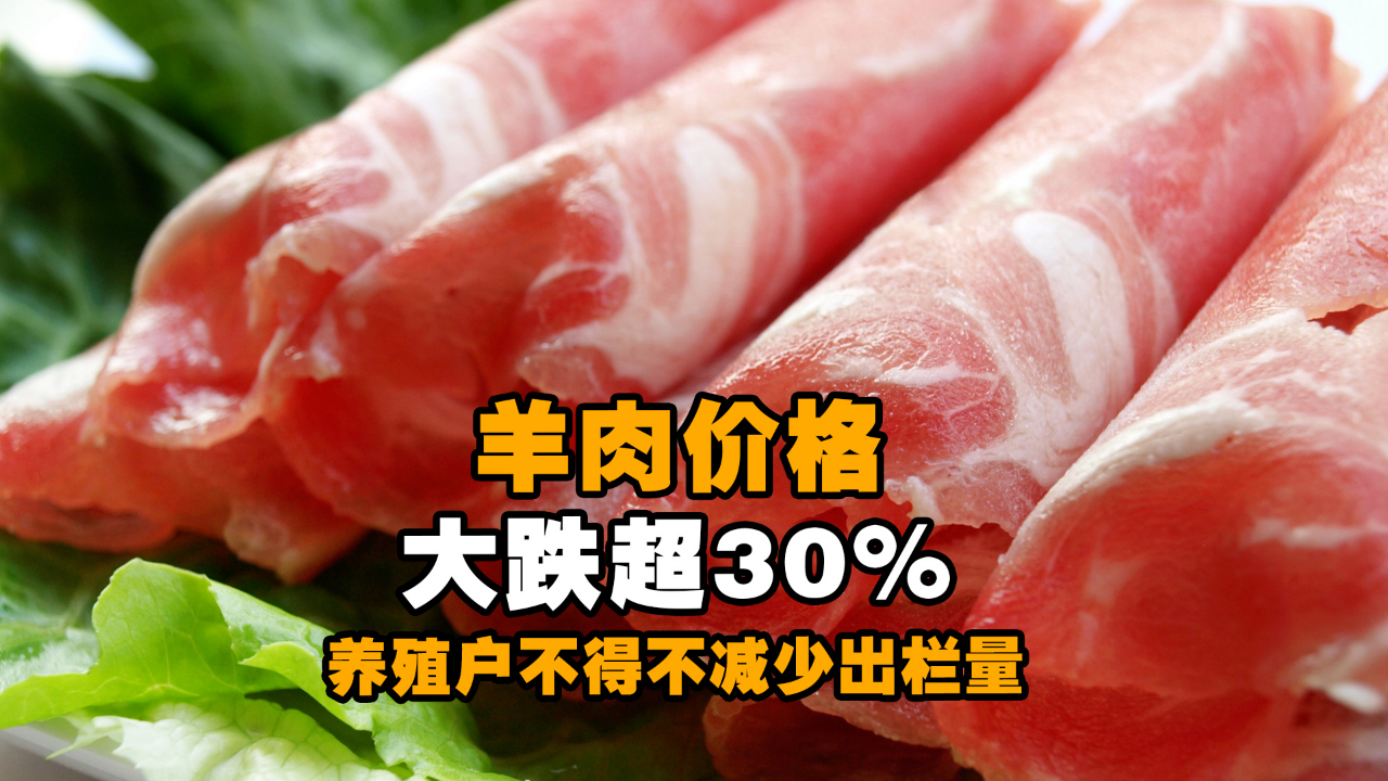 羊肉价格大跌超30%!养殖户不得不减少出栏量哔哩哔哩bilibili