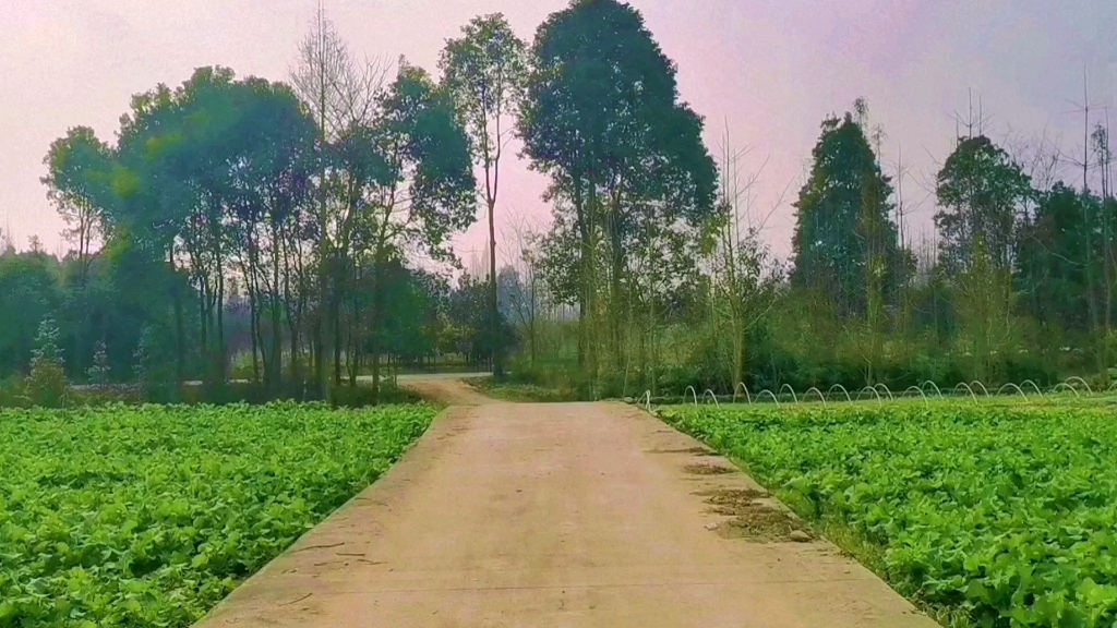 [图]治愈系列之沿着星河轨迹踏遍人间春秋，一起和我漫步乡村田野间吧