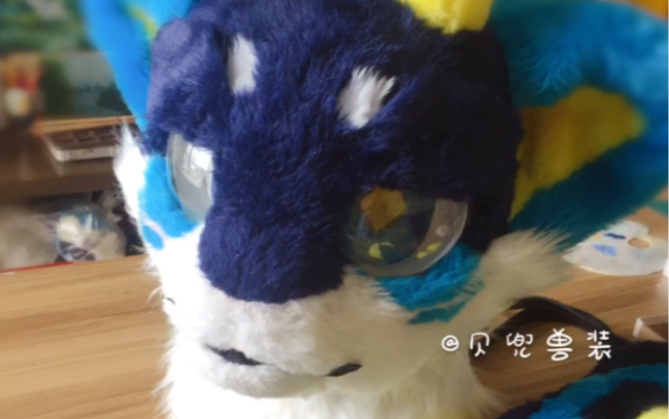 【Fursuit】兽装半装贝兜磁吸眼皮表情包哔哩哔哩bilibili