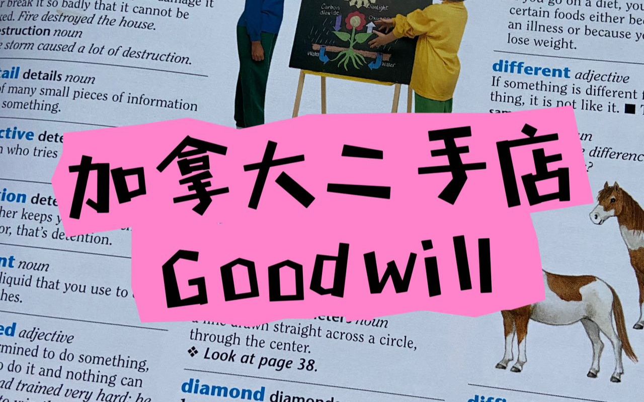 加拿大的二手商店Goodwill都卖些什么?价格如何?哔哩哔哩bilibili