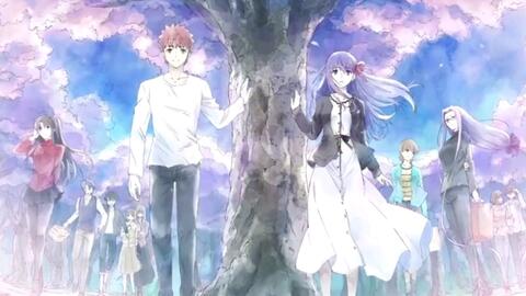 42 割引レッド系くらしを楽しむアイテム 劇場版 Fate Stay Night Heaven S Feel Spr アニメ Dvd ブルーレイレッド系 Www Urbanfarminginstitute Org