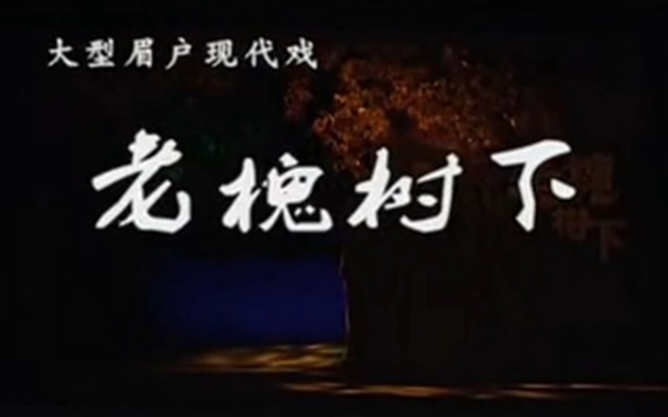 「眉户」现代戏《老槐树下》潘国梁 杨丽 赵梅山西临汾市眉户剧团哔哩哔哩bilibili