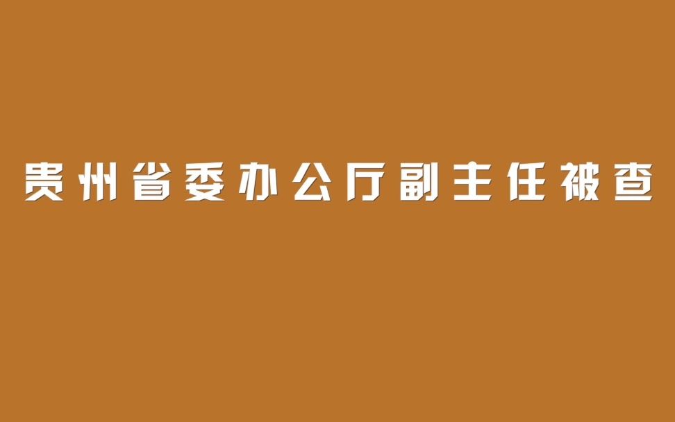 贵州省委办公厅副主任被查哔哩哔哩bilibili