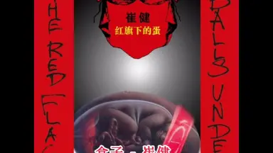 摇滚中国乐势力-哔哩哔哩_Bilibili