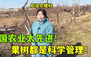 Download Video: 尼泊尔媳妇被中国农村震惊：果树都要科学管理，国外根本没见过！