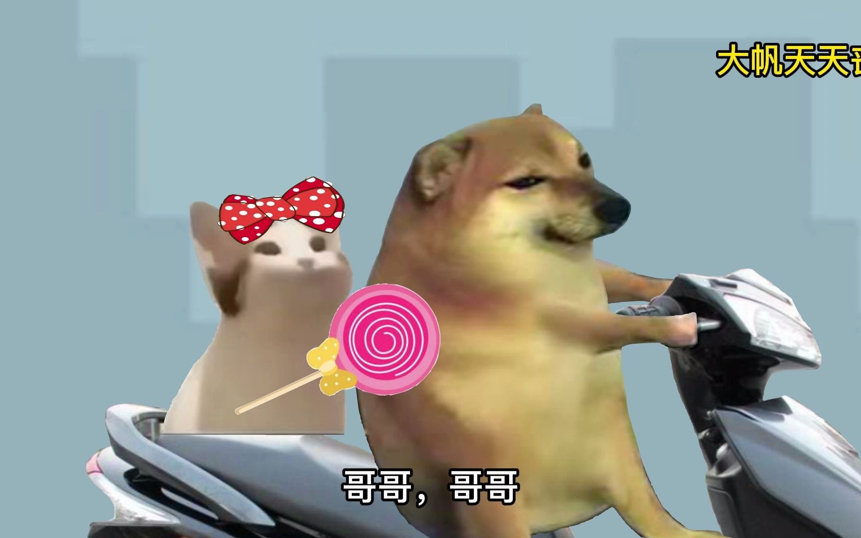 只有我才会心疼geigei!