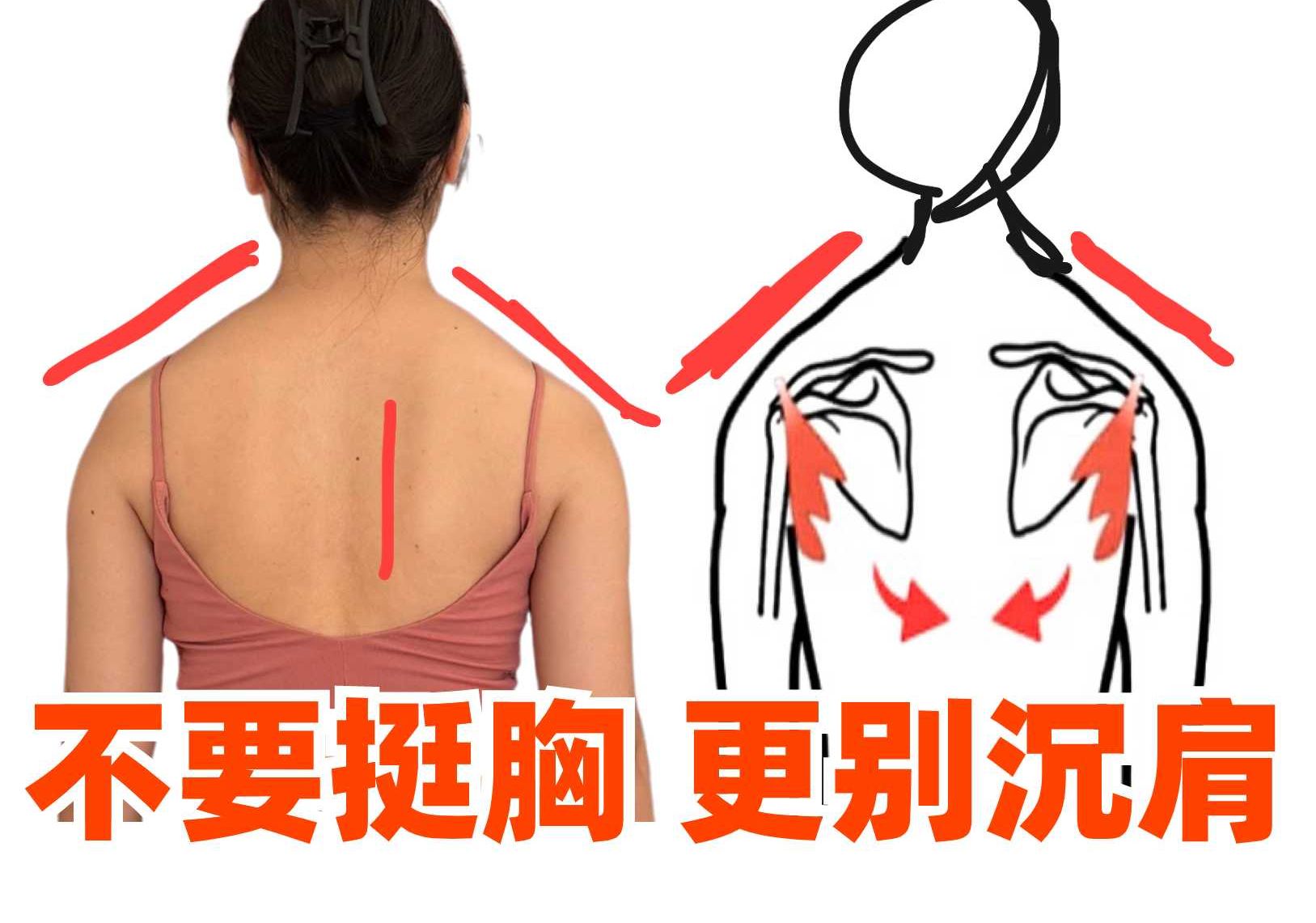 不要收腹,也不要过度挺胸,更不要过度沉肩 !