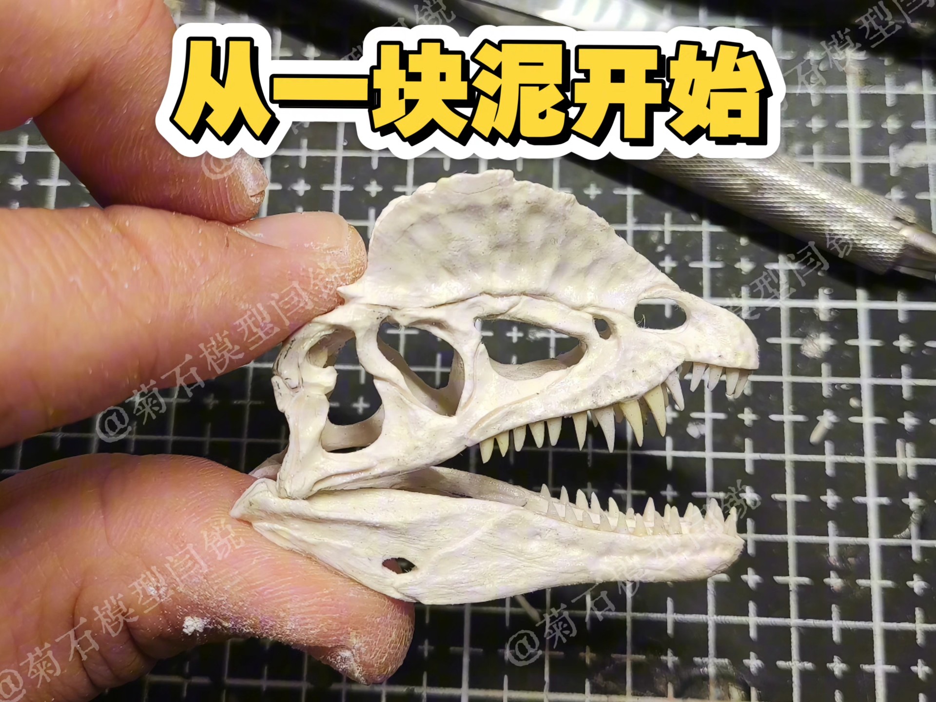 手雕双脊龙骨骼