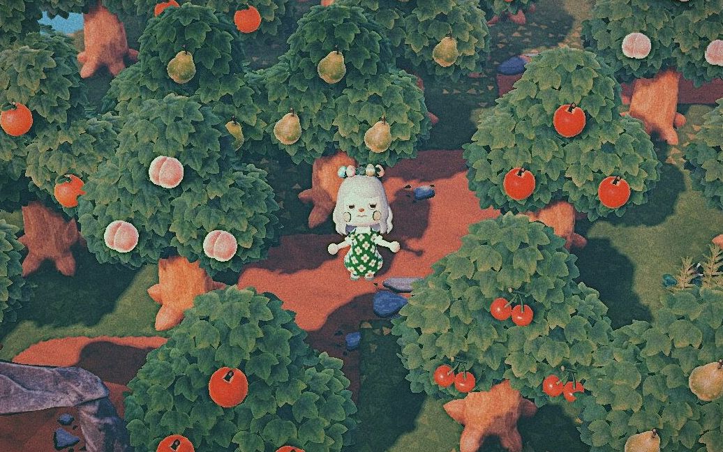 动森清新自然森林公园岛屿分享