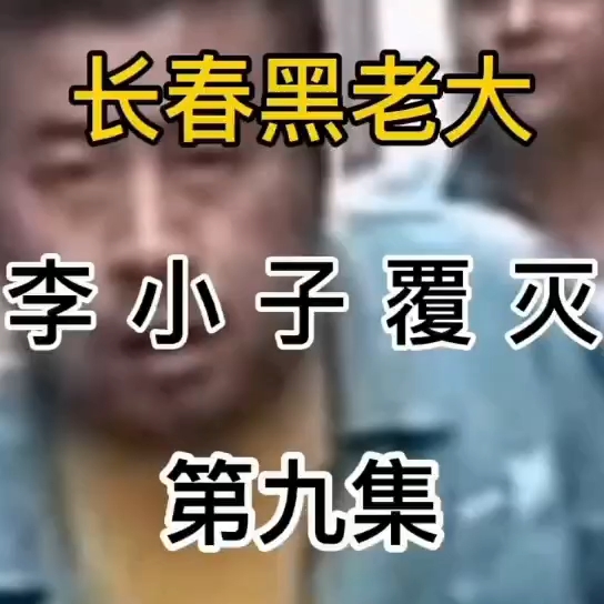 活动作品长春黑老大李小子覆灭2