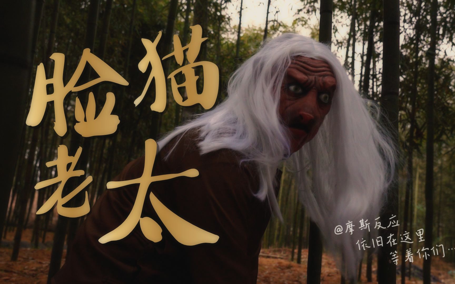 【千元小剧场】《猫脸老太》剧本杀改编——每个人藏着的心事,成人