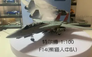 Download Video: 【今天玩点不一样的】特尔博 1:100 F14(熊猫人中队涂装）