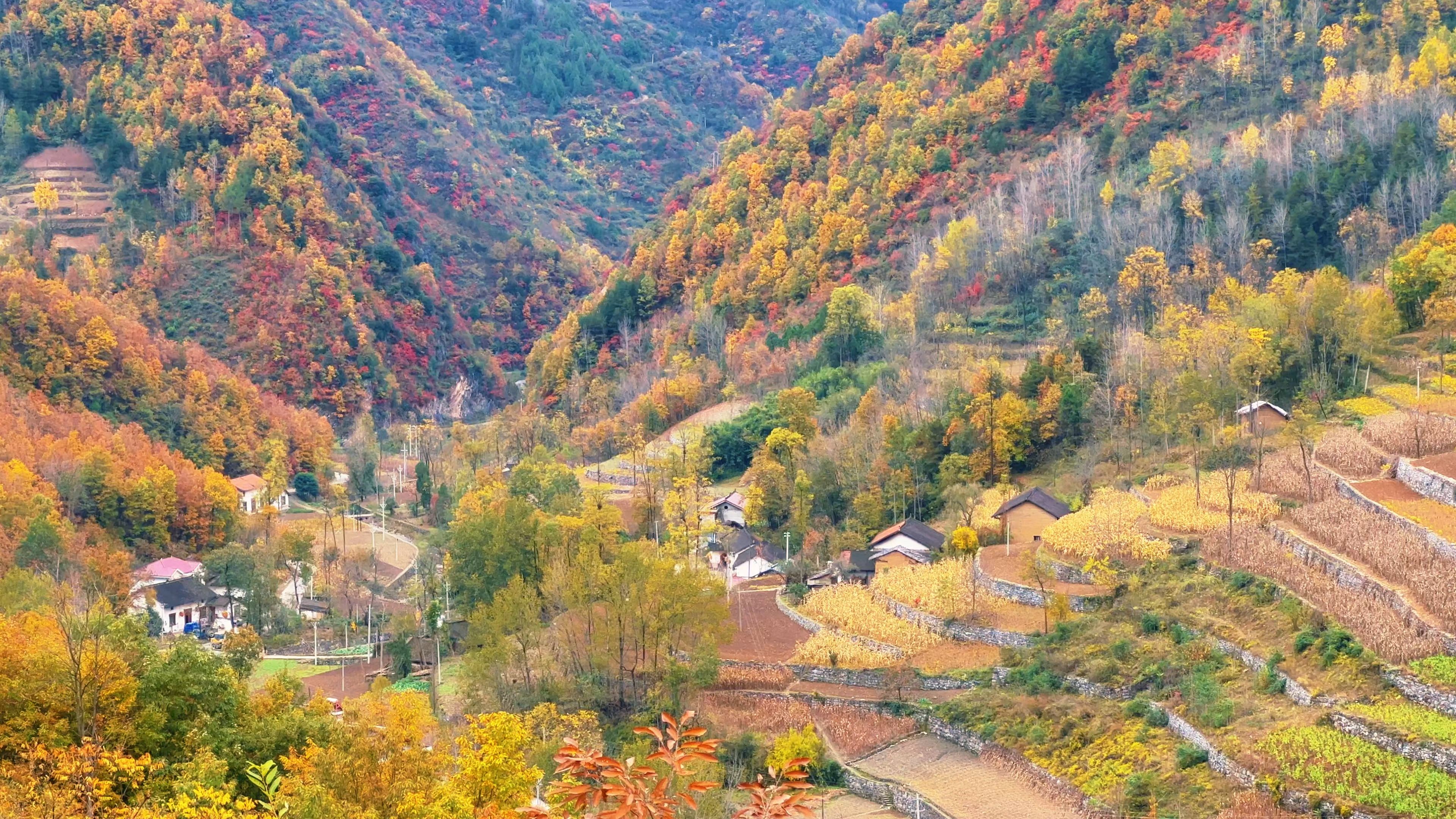 故乡五彩斑斓的秋天,看万山红遍、层林尽染哔哩哔哩bilibili