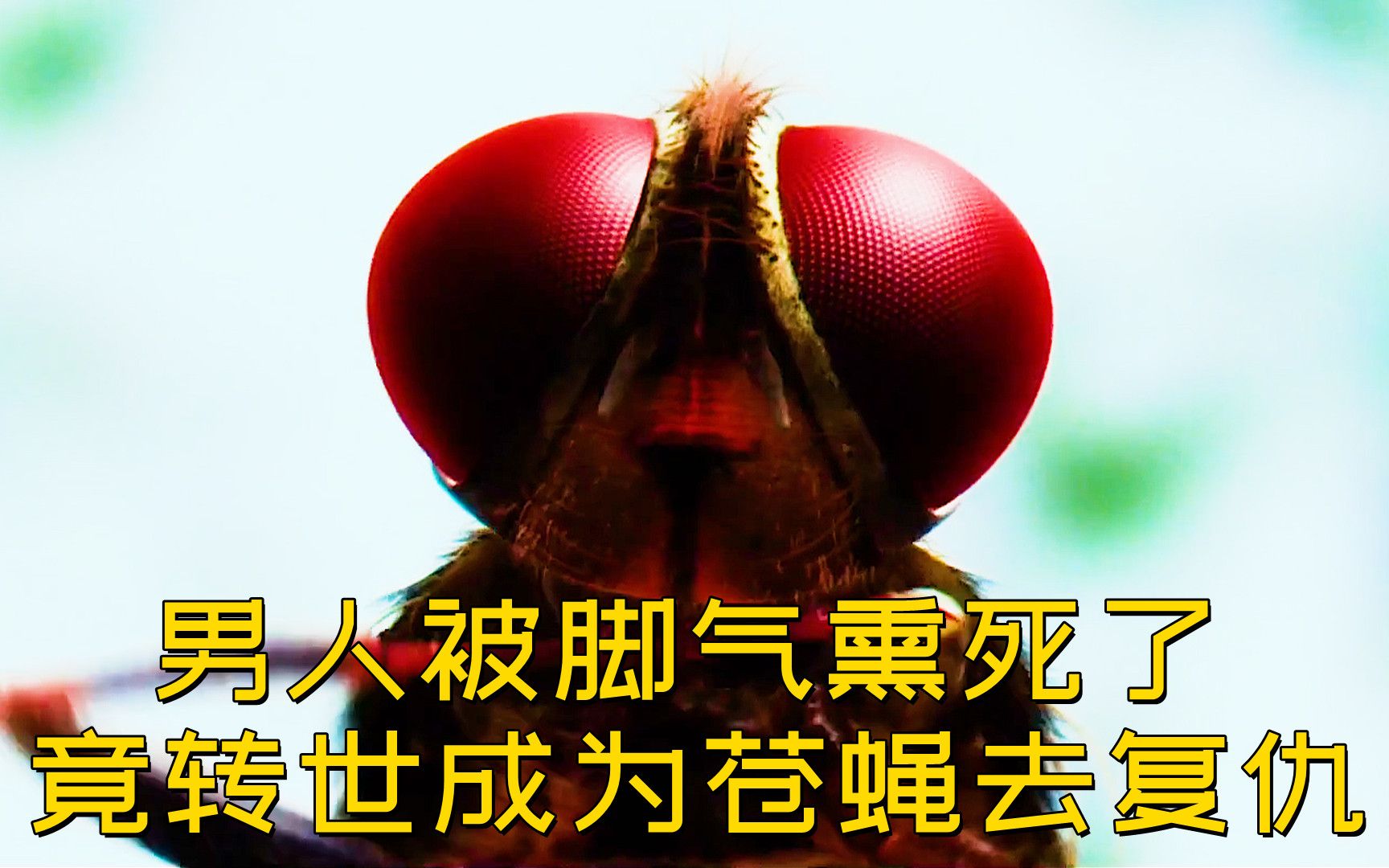 男人被脚气活活熏死了,不料竟投胎转世成为苍蝇去复仇_哔哩哔哩_bili