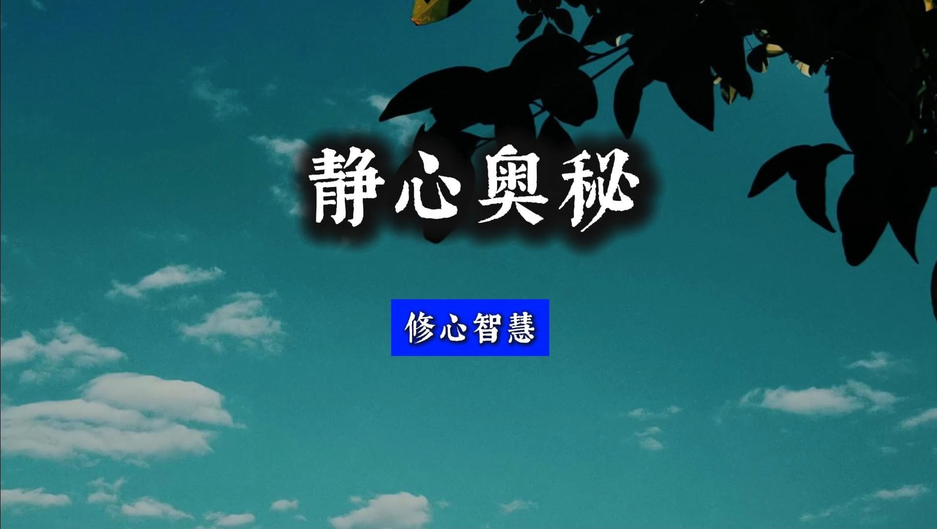 修心修行智慧《静心奥秘》,透彻精彩 传统文化国学智慧实修精华哔哩哔哩bilibili