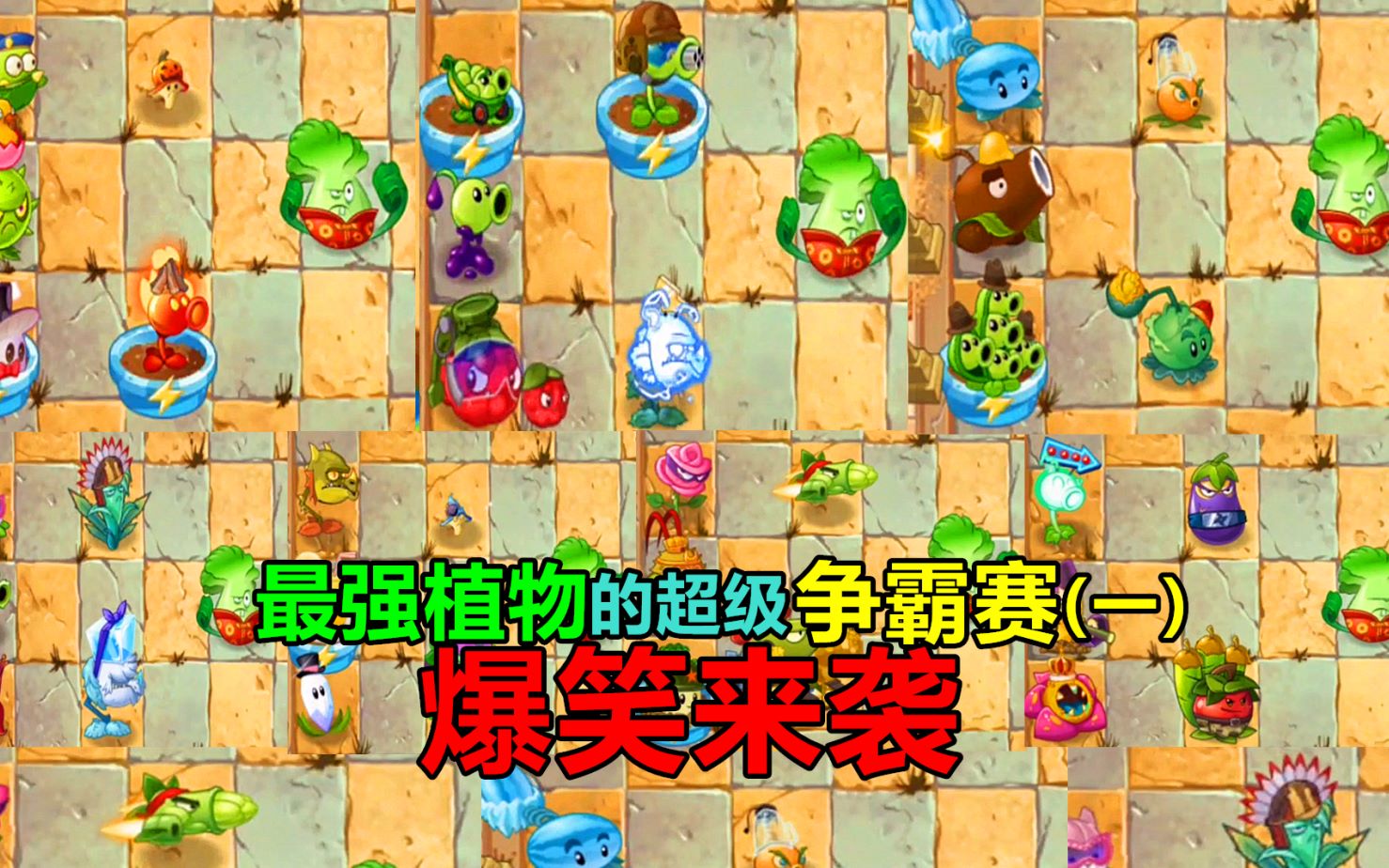 [图]【pvz沙雕配音】最强植物的超级争霸赛（一）