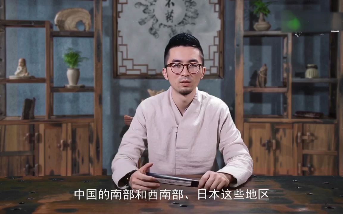 恭喜你找到源头了什么是金刚菩提?金刚菩提的产地及特点金刚菩提红皮与黄皮区别哔哩哔哩bilibili