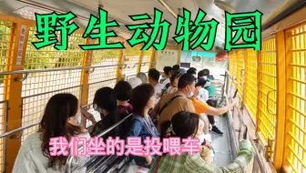 上野动物园投喂车熊区 哔哩哔哩 Bilibili