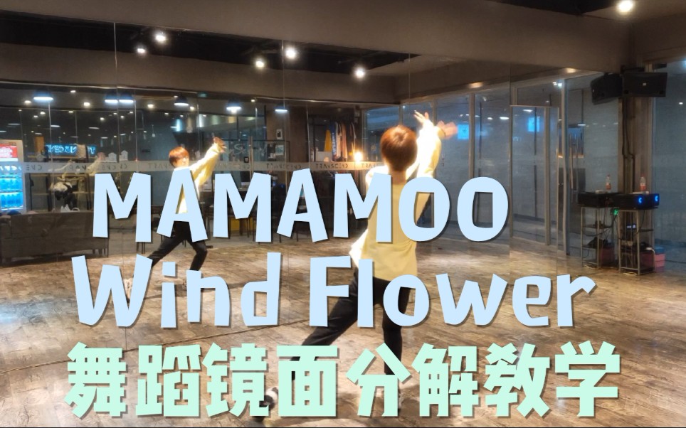 [图]【坚坚】MAMAMOO Wind Flower 舞蹈镜面分解教学❤️简单易学的风花等你get√