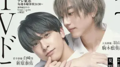 東海道人書 茶掛 （林籟俄驚六月秋 松濤忽捲三更両） 二六二-哔哩哔哩_Bilibili