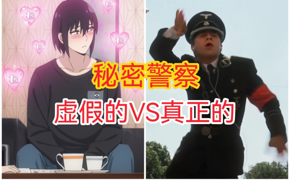 [图]虚假的秘密警察 VS 真正的秘密警察