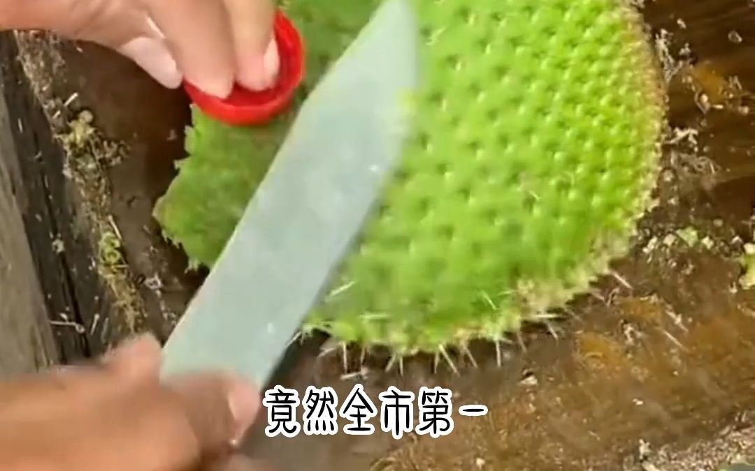 [图]高考前，霸凌我的人绑定了逆袭系统，偷换我和她的分数。但她不知道的是，我也绑定了系统。分数换钱系统，一分一万， 她换一次分，我拿一次钱。