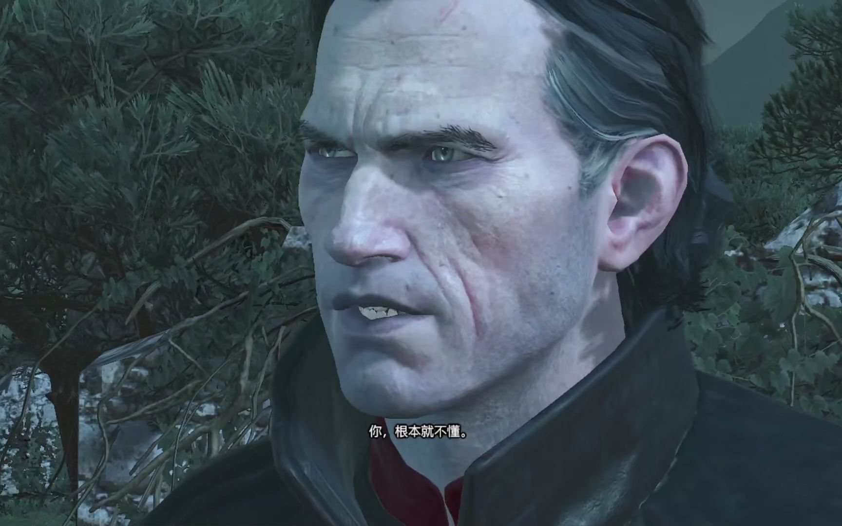 巫师3狂猎 25 狄拉夫你是真折磨