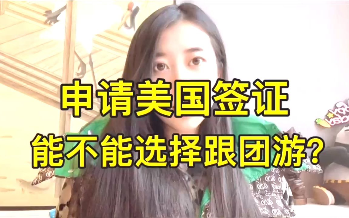 美国签证以旅游跟团的方式来做为赴美理由哔哩哔哩bilibili