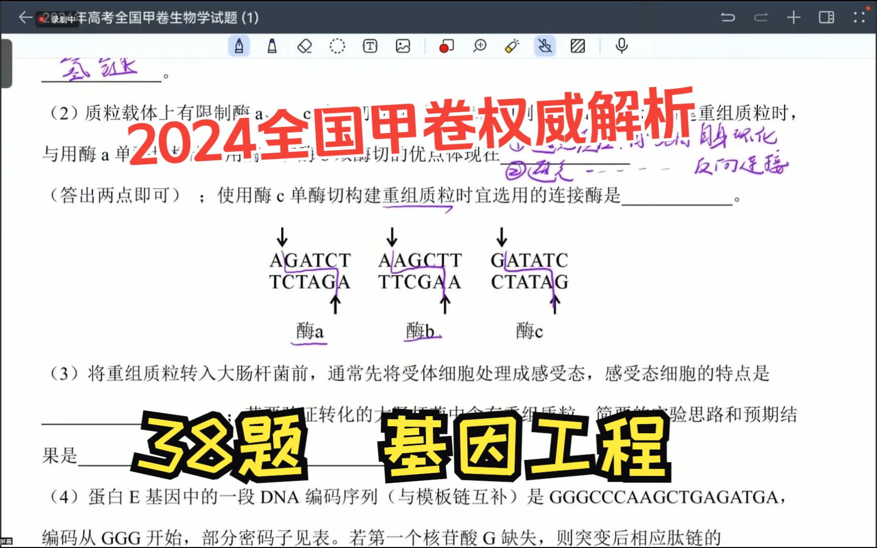 答案及解析(六)!2024年全国新课标甲卷生物试题 基因工程大题 全国理综四川、西藏、内蒙古、陕西、青海、宁夏卷 2024年高考真题 期待官方权威标准...