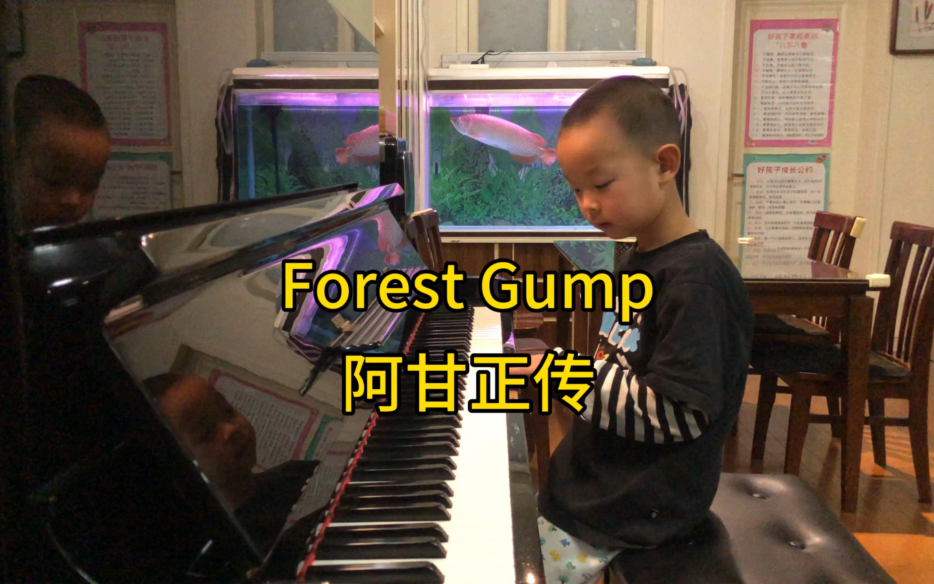 [图]【钢琴】《 Forest Gump 》电影《阿甘正传》片头曲，Alan Silvestri作曲