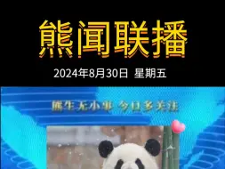 Download Video: 《熊闻联播》｜带你了解天下熊事，2024.8.30熊圈又发生了什么？（原视频素材来源网络）