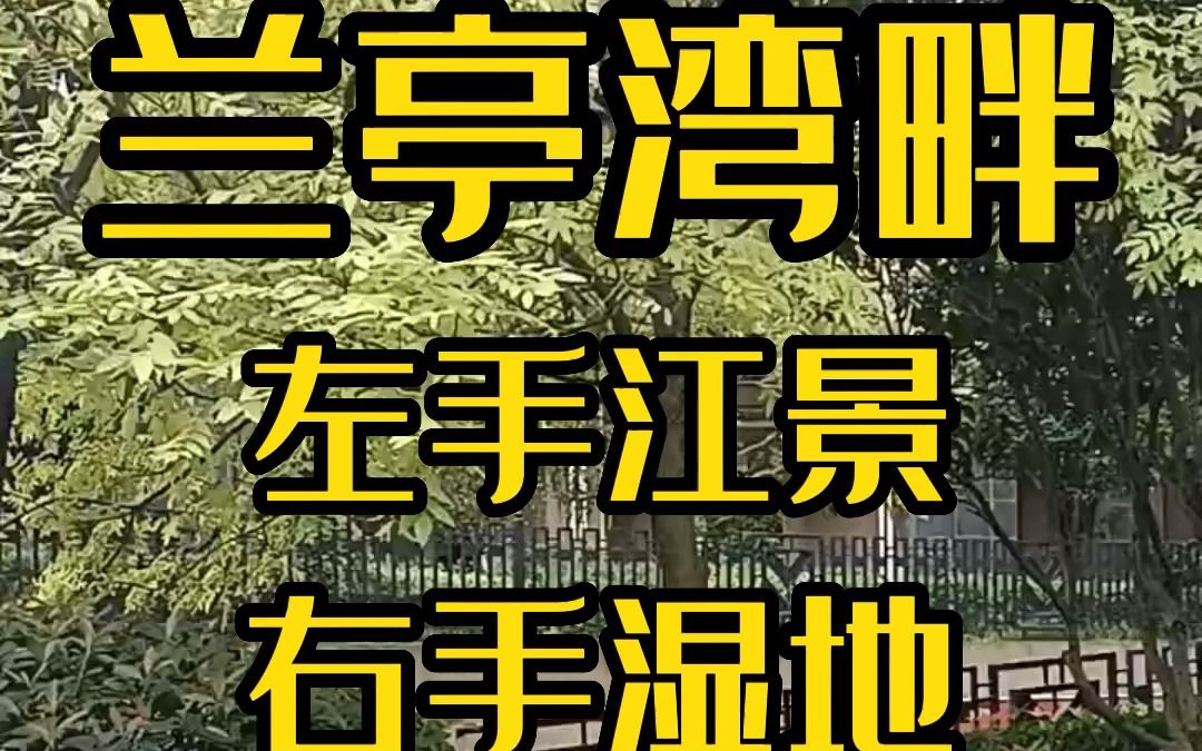 兰亭湾畔小区南临靳江河,东临湘江,西边是洋湖湿地公园,周边环境和视野都非常好;配套的幼儿园和小学就在小区北边,自建兰亭mall商场哔哩哔哩...