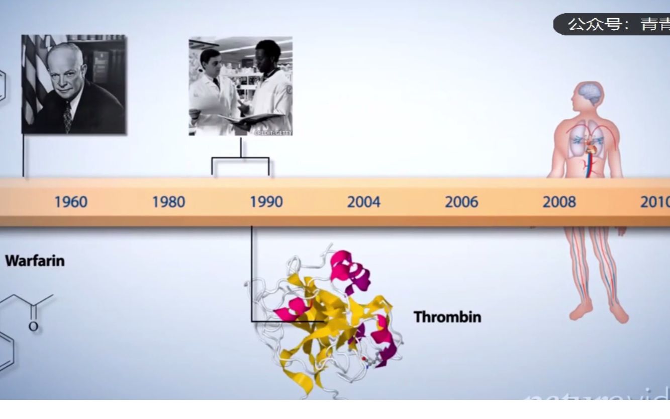 从灭鼠药到抗凝药的蜕变—华法林的“发迹”史(中文语音+字幕版)哔哩哔哩bilibili