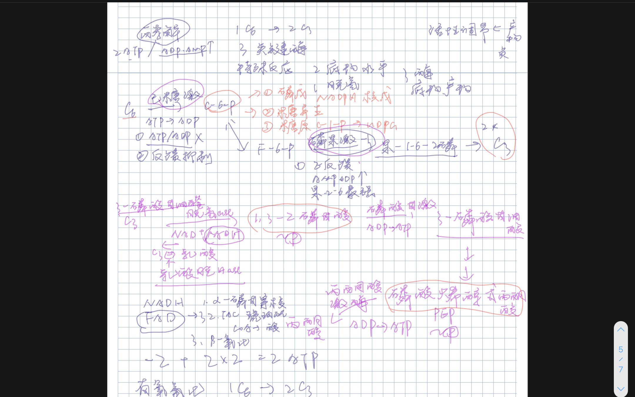 k猫生物化学 糖酵解的过程哔哩哔哩bilibili