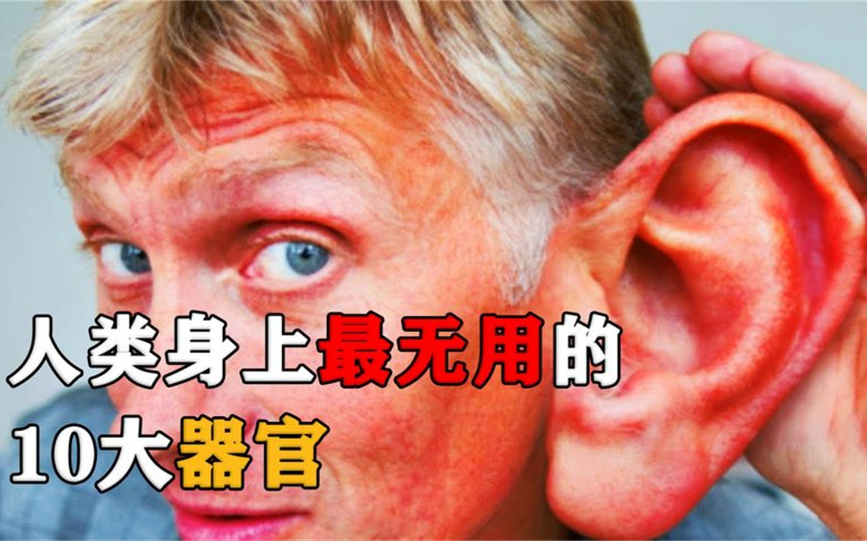 [图]人类身上作用最不明显的10大器官，一部分人已经消失，你还有吗？