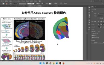 AI第二弹:使用Adobe Illustrator 快速调整SCI文章素材及图片色彩哔哩哔哩bilibili